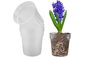 TSLBW 5 Pieza Maceta de Plástico Transparente Orquidea Maceta de Plástico Transparente para Orquídeas con Agujeros de Drenaje para Balcón Interior y Exterior