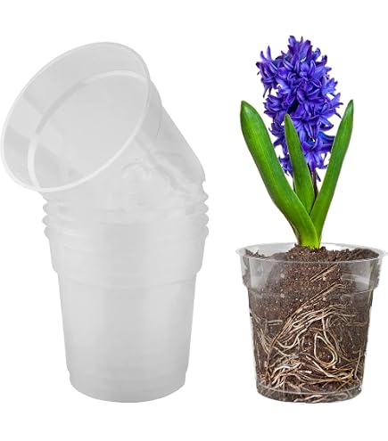 hohe pflanzen fr blumenkasten Eckiger Blumenkasten XXL ab 249