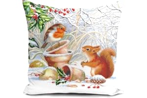 HUASHUZI Weihnachtskissen Kissenbezug 40x40 Winter Animal Weihnachtsdeko Weihnachtskissenbezug Rotkehlchen Eichhörnchen Christmas Decorations Xmas Cushion Covers Pillow Kissen Deko Sofa