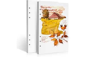 LIGHTWISH Carta per acquerelli, 100% cotone, stampa a caldo, 300 g/m², confezione da 2, totale 40 fogli A5, carta intercambiabile perforata per artisti, adulti, studenti, 14 x 20 cm