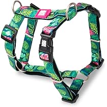 Max & Molly Hondenriem Multi Function Zebra