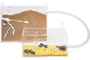 AntHouse - Ferme de Fourmis de Sable Naturel - Grand Ensemble de Mur en Acrylique (Fourmis gratuites)