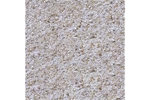 San Marco Sabbia quarzifera per filtro piscina da 25 kg