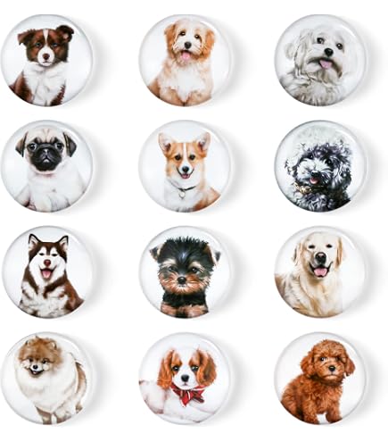Aimants Frigo Mignons - 12 Pièces Chat Memes - Autocollants Décoratifs Pour Tableau Blanc, Voiture, Bureau - 7