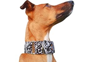 candyPet - Martingale Dog Collar, S, Music