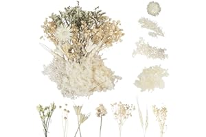 LAUMOE Fleurs Séchées, Fleurs Sechees Naturelles Fleur Séchée pour Bougies Fleurs Sechees Fleurs Séchées Vrac Fleur Sechees Decoration pour Bricolage Résine Epoxyn Art DIY Artisanale Scrapbooking