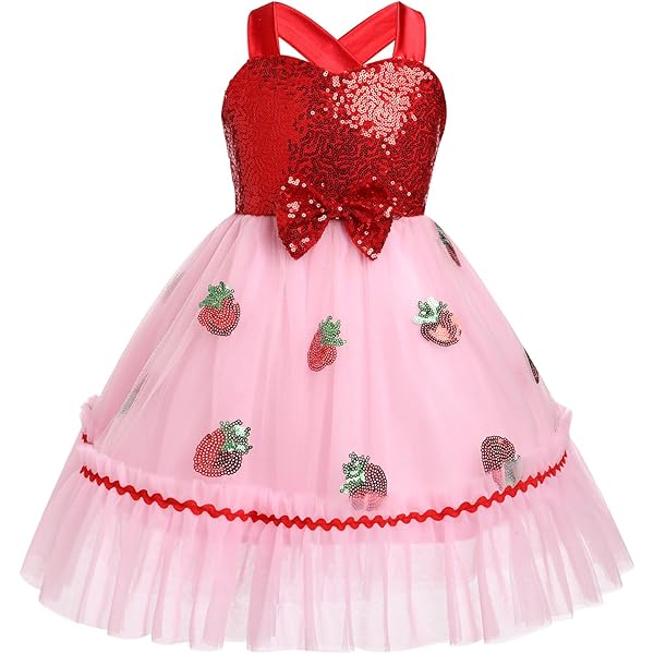 IBTOM CASTLE Toddler Girl Tutu Dress - Floral Embroidery Tulle Pageant Dress For Weddings & Birthday Parties