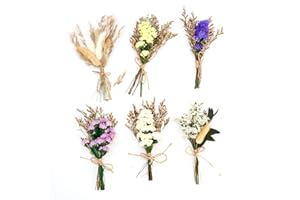 BLLREMIPSUR 6 Pcs Mini Dried Flowers Bouquet, Mixed Natural Dried Flower Plant for DIY Crafts Photo Props Card Scrapbooking Gift Decor