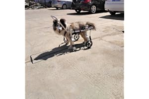 CORA PET Carrello Regolabile per la Riabilitazione delle Zampa Anteriore Zampe Posteriori di Cani e Cuccioli, Imbracatura Cane Supporto per Cani Anziani Feriti Disabili, Sedia a Rotelle 4 Ruote, 1~6kg