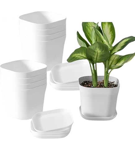 Acan Tradineur - Confezione Da 2 Vasi Rotondi In Plastica Per