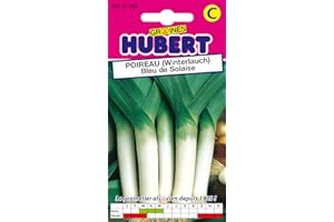 GRAINES HUBERT SEMENCES & ENGRAIS MAIROL Graines de Poireau Bleu de Solaise - 3 grammes
