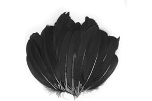XWCHASA 100Pcs Black Feathers for Crafting, 15-20cm Long Fluffy Feather Decoration for Scrapbooking Embellishments, DIY Dream Catchers, Ornament Crafts Halloween