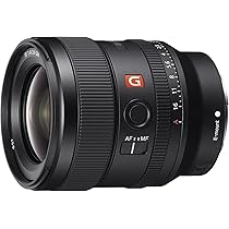 Sony E Mount Fe 24Mm F1.4 Gm Full-Frame Lens (Sel24F14Gm) | Wide 