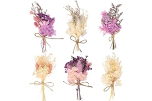 LAUMOE 6 Bündel Trockenblumenstrauß, Trockenblume, Getrocknete Blumenstrauss, Trockenblumen, Getrocknete Blumen Trockenblumen zum Basteln für Bilderrahmen DIY Heim-Party Und Hochzeitsdekoration