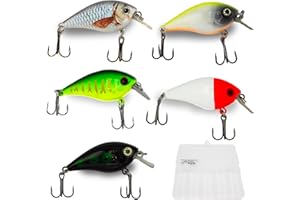 Zite Fishing 5 Pcs Leurres De Pêche - Crankbait Bait Lures Set Brochet Sandre - Jig Crochet Ensemble avec Boîte