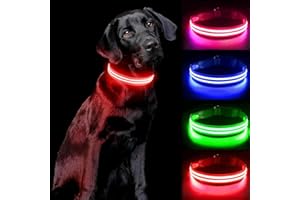 PCEOTLLAR ObrożA Dla Psa Led BłYskająCa PodśWietlana ObrożA Dla Psa 100% Wodoodporna Akumulator Regulowana ZwięKszona Widoczność Super Jasna Dla MałYch śRednich DużYch PsóW - Czerwony -S