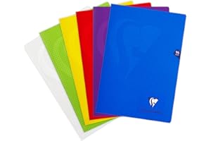 ‎CLAIREFONTAINE Clairefontaine 293162AMZ - Set mit 2 Heften Mimesys, 48 Blatt, DIN A4, 21 x 29,7cm, 90g, kariert, 1 Set, farbig sortiert