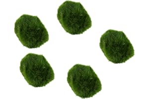 Biotope Aquatics Ltd - Live Marimo Moss Balls, Cladophora aegagropila, Aquarium Plant (5 x Moss Balls (2-3cm))