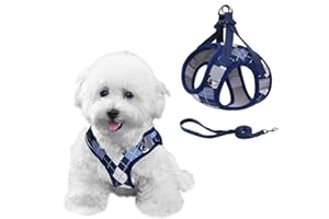 PawSailor Arnes Chaleco Perro Correa para Caminar, Arnes Antitirones Antiescape con Patrón Cuadros, Easy Walk Transpirable Reflectante Ajustable para Perros Pequeños, Gatos, Azul S