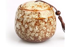 Exnemel Piccole urne per ceneri umane, mini urna per cenere per adulti, urne per animali domestici, cani, ceneri per gatti, ceneri funerali (500 ml, bianco)