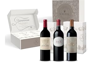 CASTEL CHATEAUX GRANDS CRUS Coffret Cadeau - Vin Rouge - Coffret Passion Saint Emilion Grand Cru : Folie De Chauvin – Croix de Beauséjour - La Croix Montlabert - 3x75cl