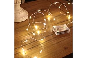 Festive Lights 2m 6ft 20 LED Battery Operated Decorative Micro Firefly Fairy String Lights with Silver Wire, Christmas, Wedding Decor, Party, Home Indoor Decoration (Warm White)