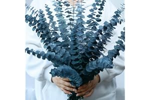 ‎ONING 17 Pcs-blau-getrocknet-konserviert-Eukalyptus-Stängel, 17" Echter hängender Eukalyptus für Dusche, 100% Natürliche lebende Eukalyptus-Grünblätter für Vasenfüller, Home SPA, Duft, Blumendekor