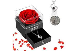 SANOTO Rosa Stabilizzata Vera con Collana, Idee Regalo Donna Fidanzata Compleanno Anniversario Matrimonio San Valentino Natale Festa Della Mamma