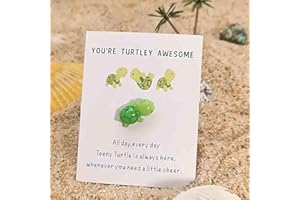 LEYITENG Positive Turtle Cute Gifts,Turtle Gifts,Tiny Gifts,You're Turtley Awesome, Positive Energy Gifts, Lovely Turtle Shaped Card Friendship Gift, A Card With A Turtle Ornament (Light Green)