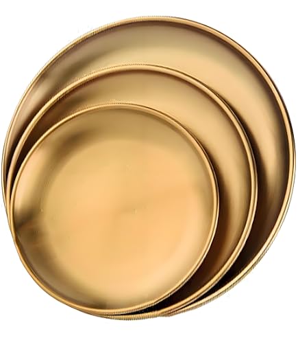 4 Assiettes Camping Inox 23cm - Légères Et Empilables - Pour Pique-nique, BBQ Plage Et Repas Extérieur