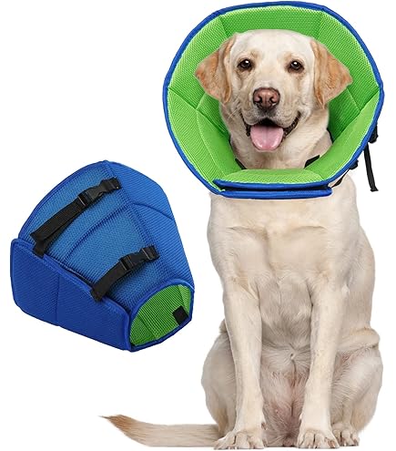 Bescherming / Veiligheid Hond - Sledehondensport & CaniCross & Steppen met je hond