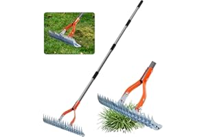 Caossuixin Thatch Rake with Handle for Lawns,15-Inch Garden Rake Heavy Duty Adjustable Rake for Gardening, 19 Tines 102cm to 178cm Garden Leaf Rakes for Weeder ,Cleaning Dead Grass, Loosening Soil