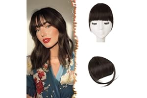 BARSDAR Frange à Clip Cheveux Humains, 100% Cheveux Naturel Humain Extension de Cheveux Frange à clip pour Femmes Marron Extensions Franges Épais Neat Bangs avec Tempes Postiche - Marron plus Foncé