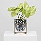 Vudy Plant Stand Mid Century Modern Pot Stand Indoor Stand & Pot, Flower Pot Holder Plants Display pots Stand (Plants…