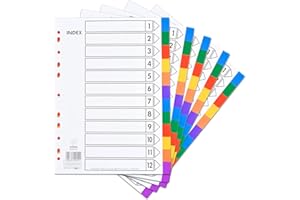 Chstarina 5 Set 12-teiliges Register für Ordner A4, Trennblätter für Ordner A4, Ordner Trennblätter, Register Din A4 aus PP