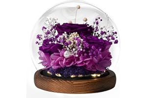 BEINHOME Wieczna róża w szkle, wieczne kwiaty, zakonserwowane róże jako prezent dla kobiet, mamy, babci, przyjaciółki, na Walentynki, Dzień Matki, urodziny, rocznicę, Święto Dziękczynienia, dekoracja główna na