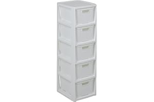 BRANQ HOME ESSENTIAL BranQ - Home essential Regal in Rattan Design, BPA-freie Kunststoff PP, Weiß, 29,5 x 24 x 80 cm, 5 Körben