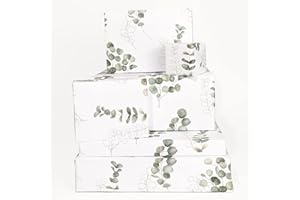 Central 23 - Bonito Papel de Regalo para Ella - 6 Hojas de Papel de Regalo - Para Hombres Mujeres - Eucalipto - Verde Blanco - Reciclable