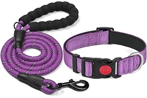 haapaw Reflekterande hundhalsband vadderat med mjuk neopren andningsbar justerbar hundhalsband i nylon för små medelstora hun