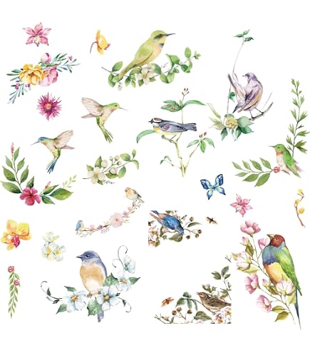 Colorful Robin Bird Wall Decals - Removable Tree Branch Stickers For Kids Room Nursery - View #7