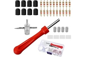 Lanjue Tyre Valve Repair Kit, Schrader Valve Tool Valve Core Remover Tool for Car Bicycle Auto