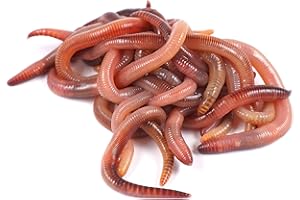 GENÉRICO Lombriz roja californiana (1000 Lombrices + Manual de vermicompostaje de Regalo)