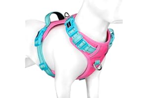 PHOEPET No Pull Dog Harness, Unique Colors Reflective Adjustable Dog Vest, with Soft Training Handle Metal Clips for Small Medium Large Dogs (Pink Base & Green Straps,L)