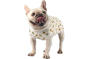 Due Felice Dog Surgery Recovery Suit Pet Surgical Onesie After Surgery Wear for Female Male Dog Recovery Collar Alternative Bee/X-Large