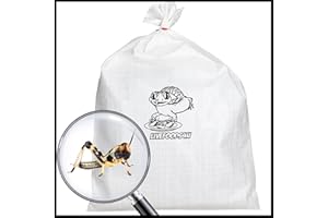 Livefoods4u Medium Locust Live Food (12-20mm) Bag of 100 - Perfect for Reptiles and Lizards - Sustainably bred