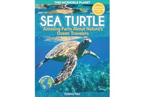 Sea Turtle: Amazing Facts about Nature's Ocean Travelers (This Incredible Planet)