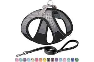 AIITLE No Pull Hundegeschirr, Step in einstellbares Hundegeschirr mit gepolsterter Weste, Hundeleine mit weichem gepolstertem Griff, leicht anzulegen für kleine und mittlere Hunde Schwarz S