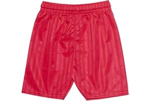 ONLYGLOBAL ND Sports School Shadow Stripe PE Shorts