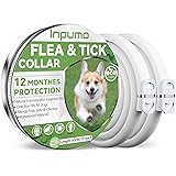 Collare Antiparassitario Per Cani, Naturali antipulci per cani da 65 cm, Oli Essenziali Naturali Al 100%, Efficacia 12 Mesi c