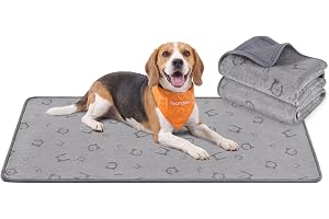 Feandrea Tvättbara Kisskydd för Hund, Återanvändbara, 2-Pack | Vattentät Hundmatta, 90 x 60 x 0,2 cm, Snabb Absorption, för S